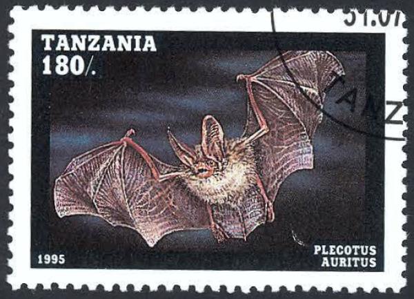 Fledermaus-Briefmarkenset Tansania Detail